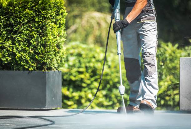 Best Fence Cleaning and Maintenance in South San Gabriel, CA